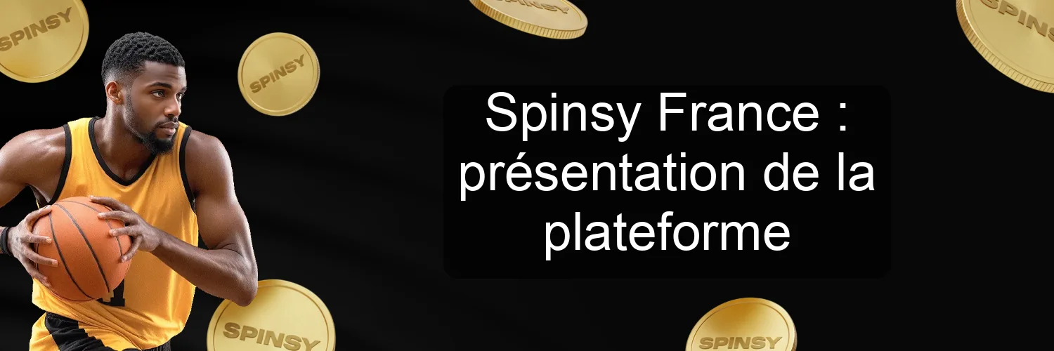 Spinsy France : présentation de la plateforme